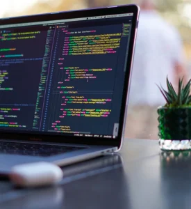 Web Development Company